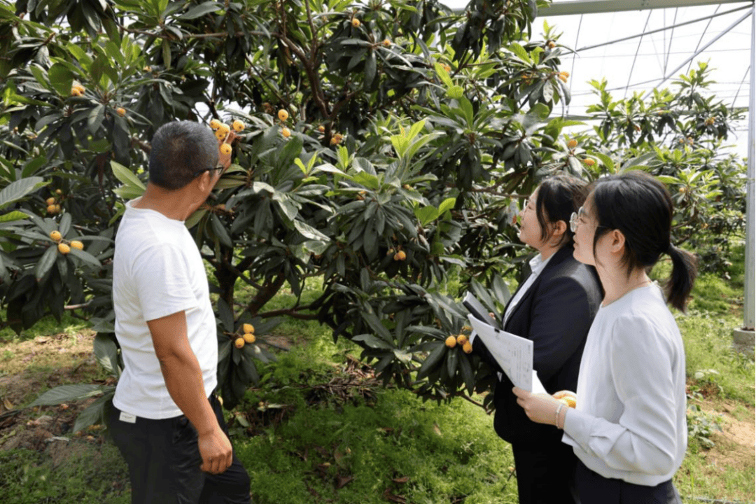 宁波银行，打出一记漂亮的ACE球