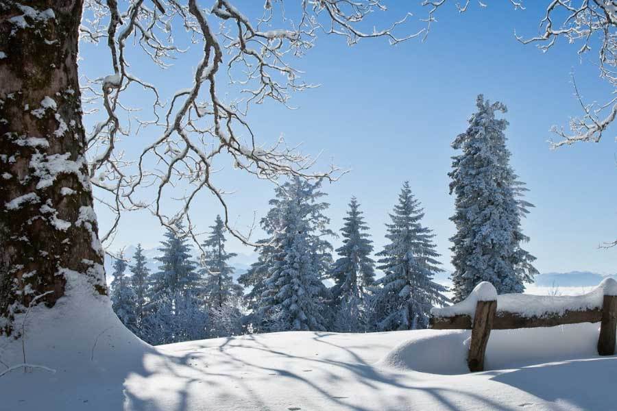 羽毛球双打组合配合愈发默契,世界排名稳步上升?